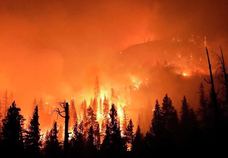 Understand Wildfire Risk